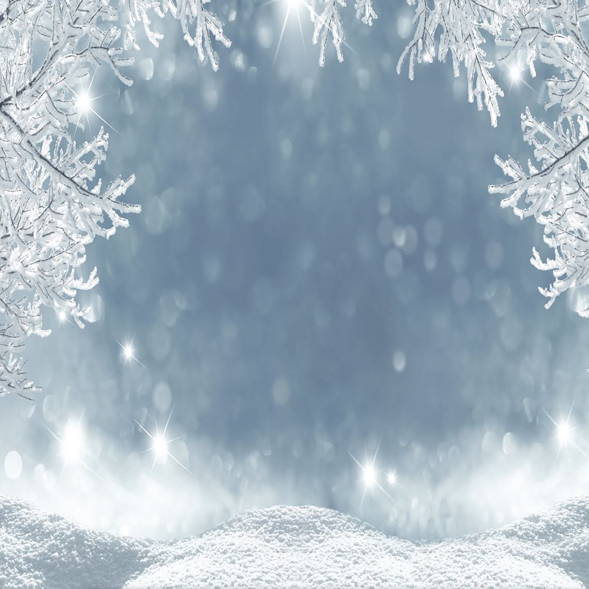 Winter Wonderland photobooth backdrop