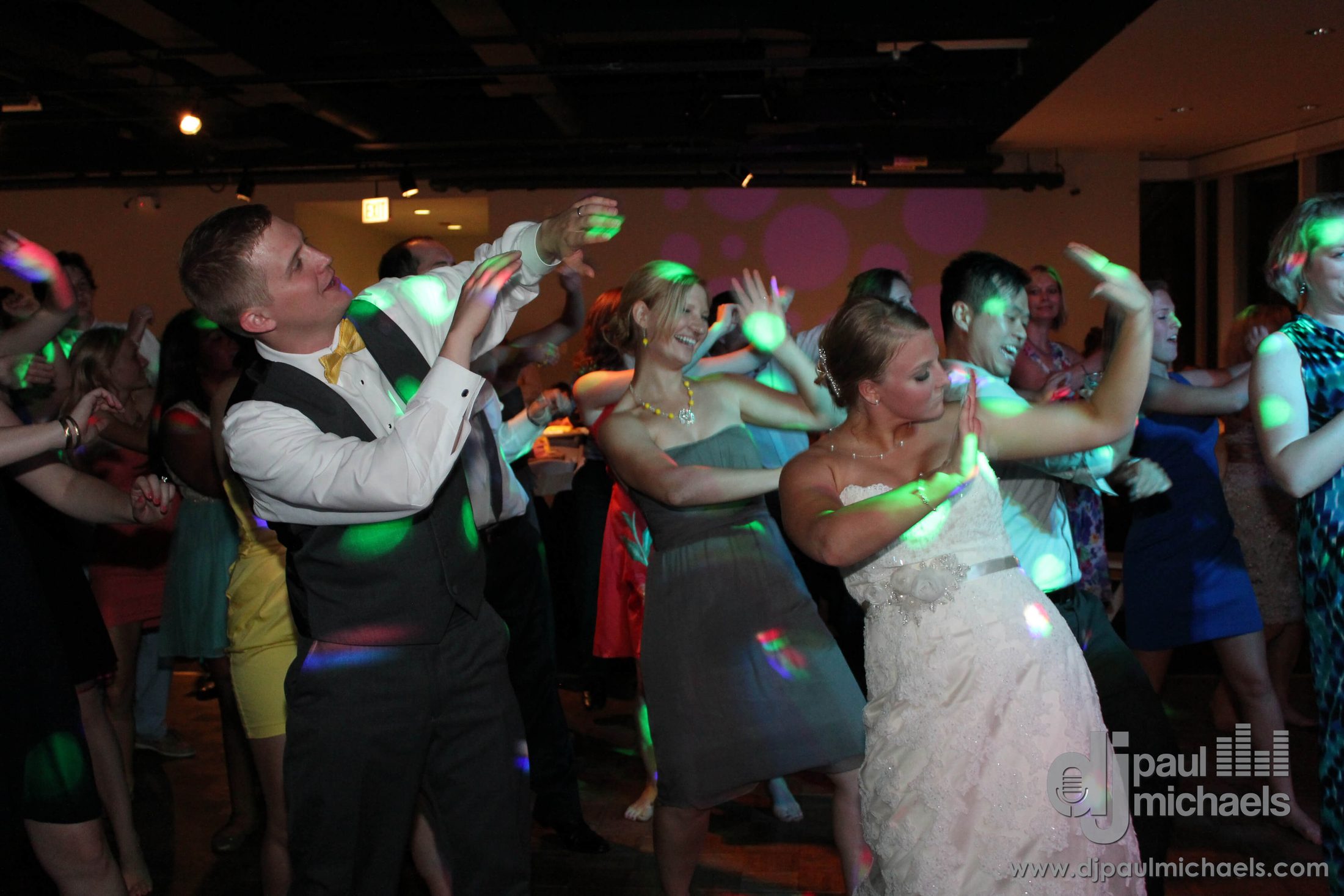 Peggy Notebaert Nature Museum Chicago Best Wedding DJ Blog Cover