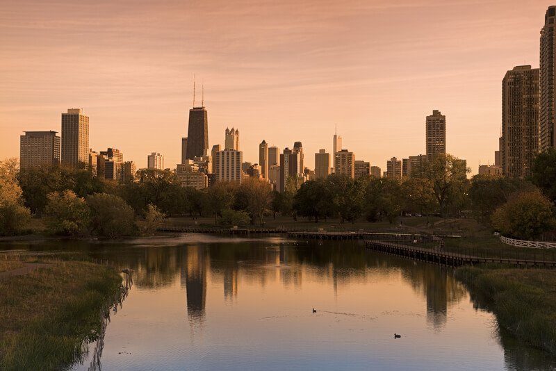 How to Plan An Epic Company Picnic in Chicago