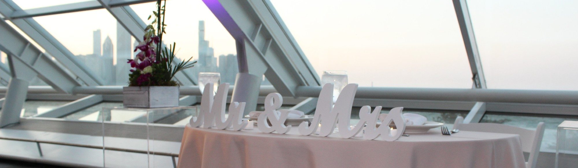 Diana and Robert's Wedding at the Adler Planetarium