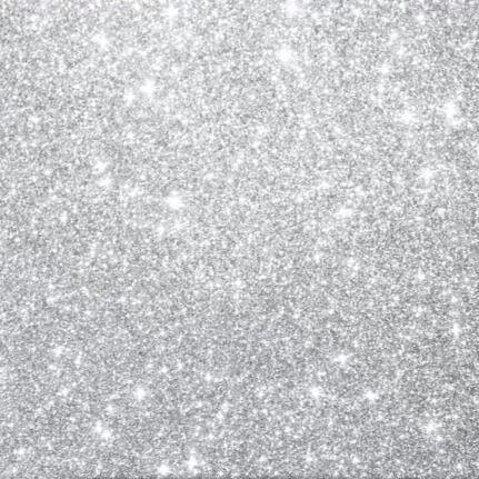 Silver Sparkle photobooth backdrop